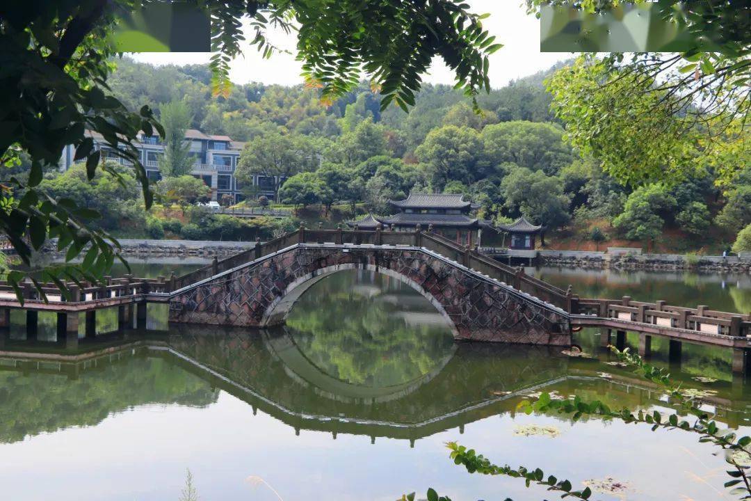 u游常山 | 在公园,我的夏天像电影_生活_明湖_绿色