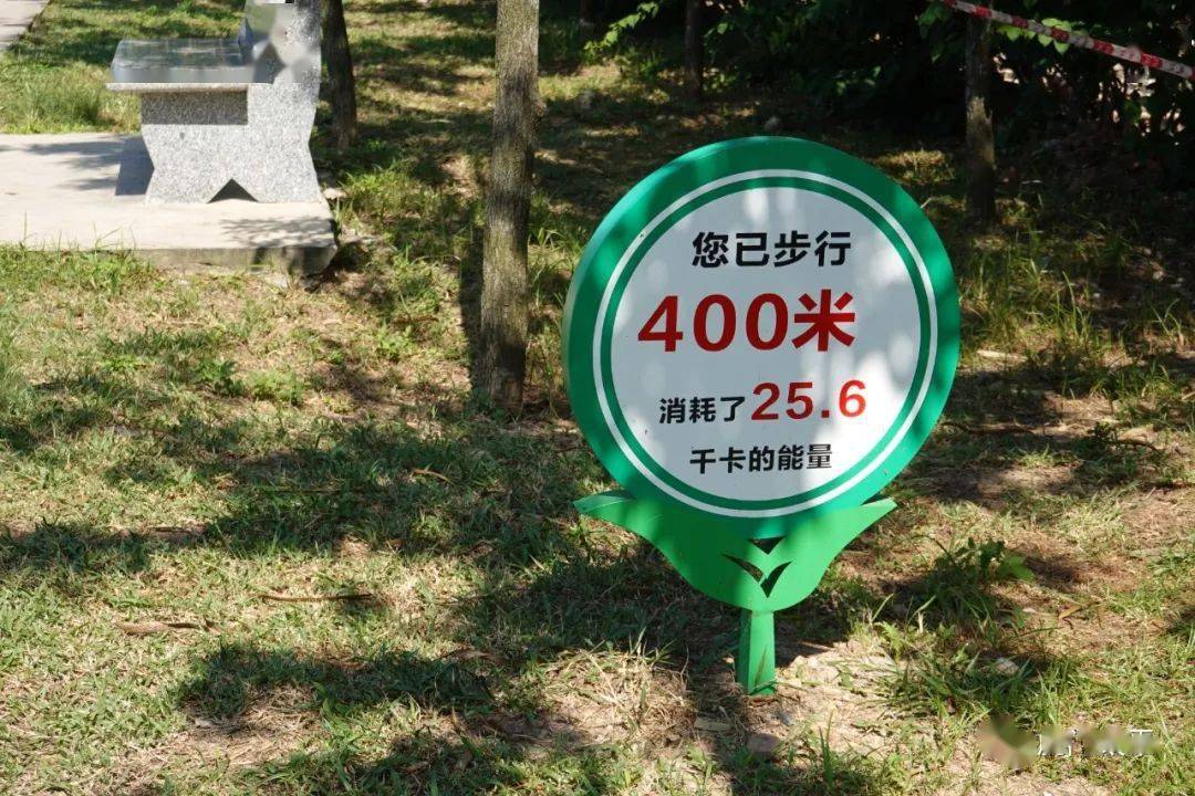 虎门多了一个多功能公园!_市民_宣传_健身