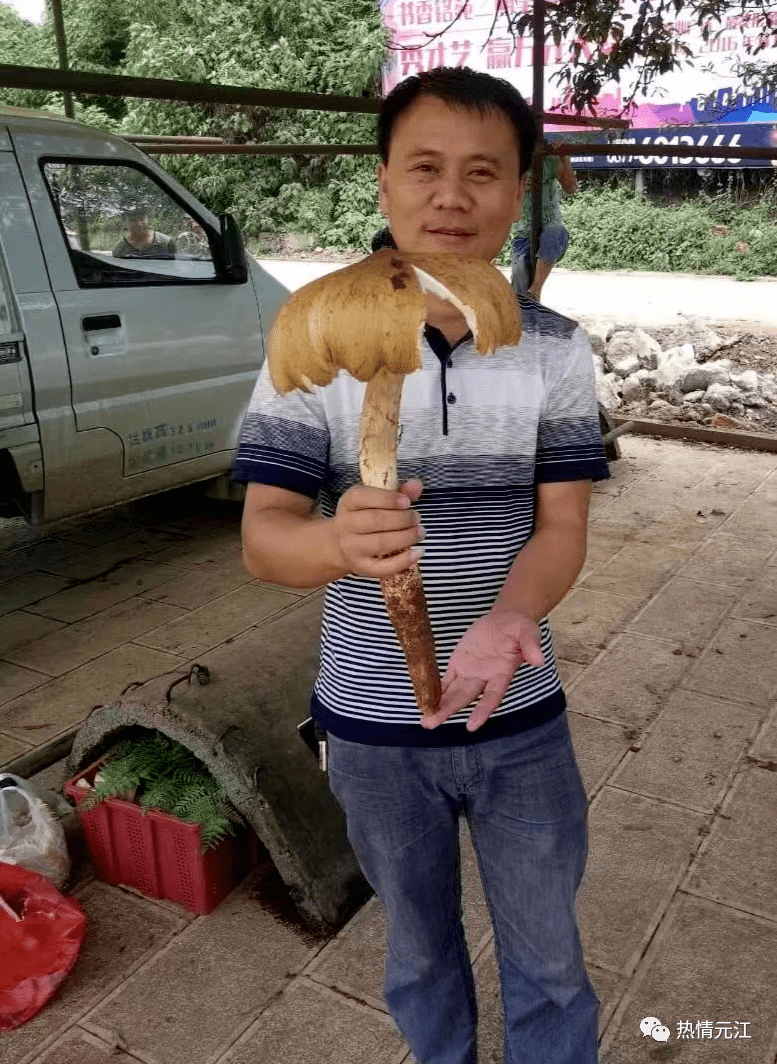 多彩暑期 乐游玉溪|走,周末克元江甘庄青龙驿过节吃菌…_厂社区