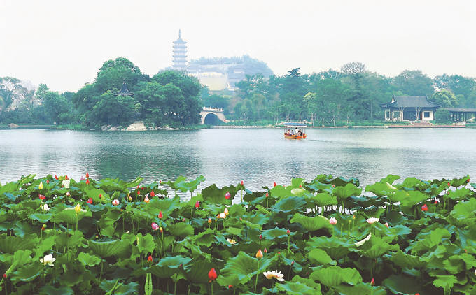 镇江市金山湖图片