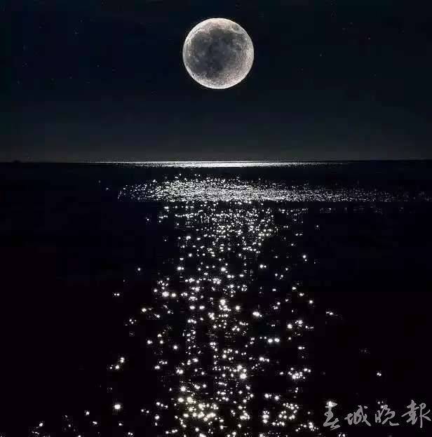 月球拍了拍你:今天是人类月球日耶!_月亮_地球_登月