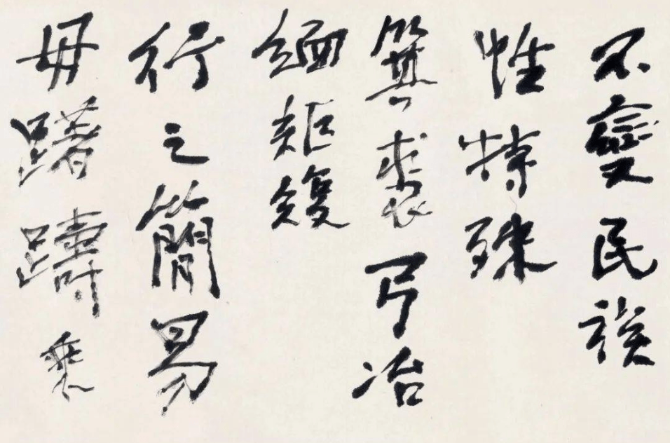 豹隐南山,幽光熠熠