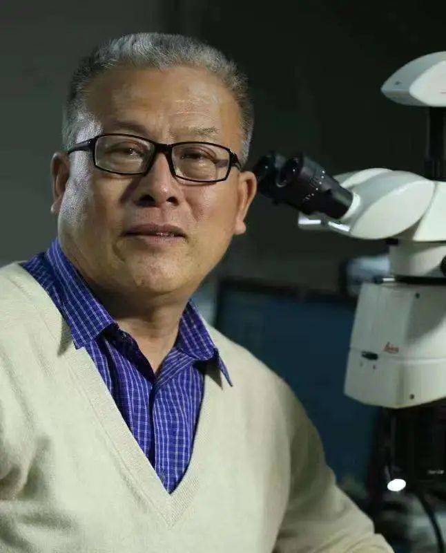 文博讲坛 | 第三百一十四期:揭秘琥珀_讲座_科普_王文利