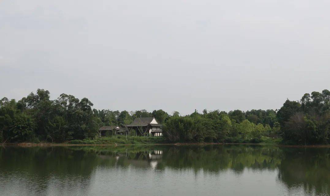 委员聚智共推龙水湖提档升级_大足_湖景区_建设