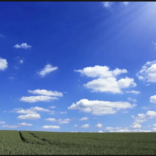 基层干部要以“干”字当头_吃苦_服务_群众