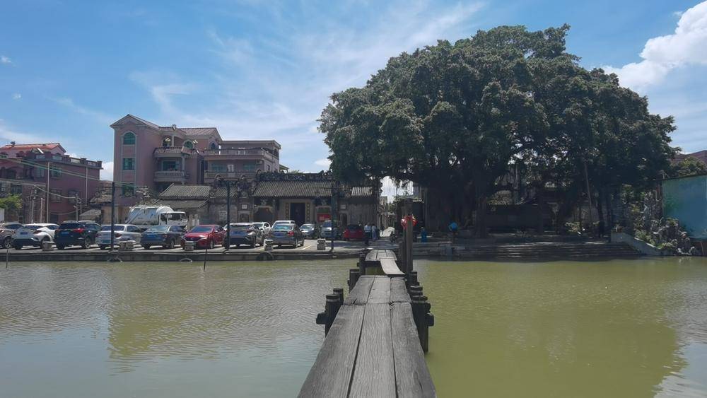 【视频】岭南文史 | "世界灌溉工程遗产"佛山桑园围:千年水脉顺势而围