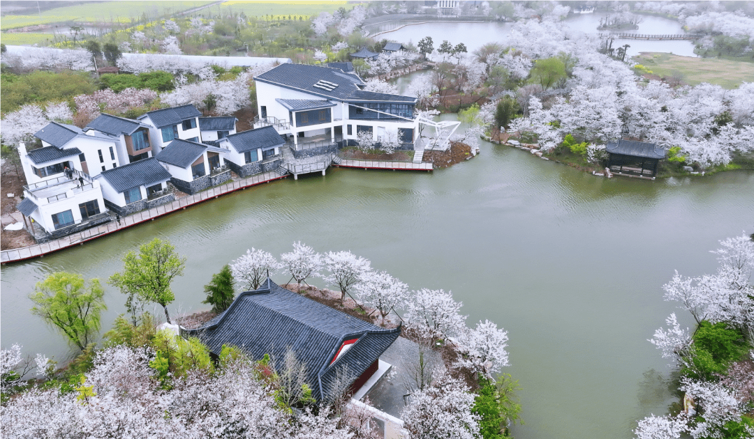 今晚8点,抢荆门文旅消费券!_活动_消费者_旅游