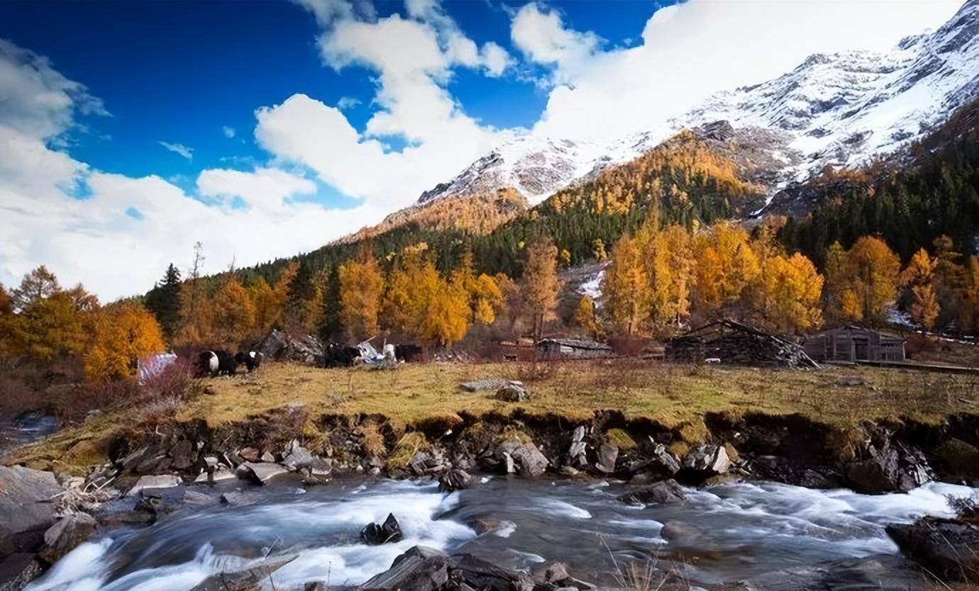 甘孜,霸占了川西秋景的半壁江山!_四川省_康定市_雪山