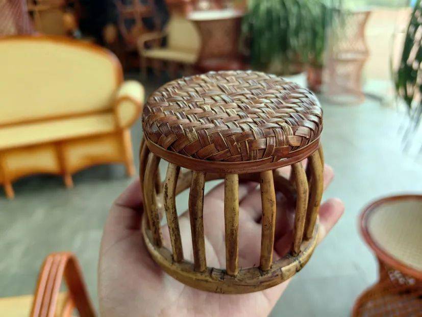 它全身又是宝,藤条可以制作鼓凳,藤果可以泡酒饮用,藤叶可以泡水喝,藤