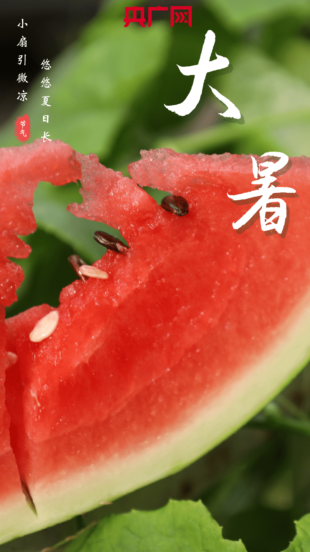 【节气之美】大暑至 来重庆感受风正起夏正浓_食物_消息_西瓜