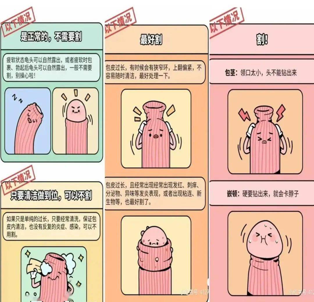 注:根据2005年九省/市儿童体格发育调查数据研究制定参考文献:中华
