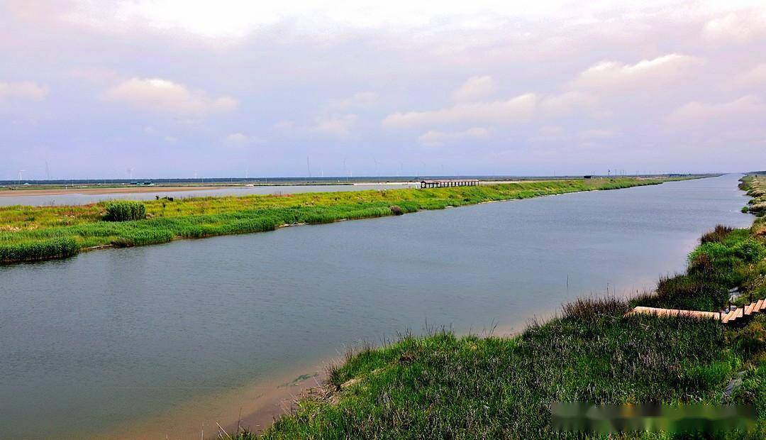 《江苏行》世界自然遗产——美丽海湾东台条子泥_湿地_景区_鸟类