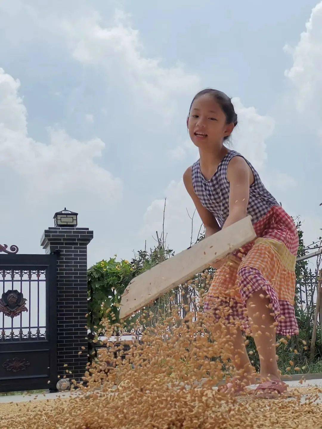 2023届星级毕业生(王子琳)_管理_生活_未来