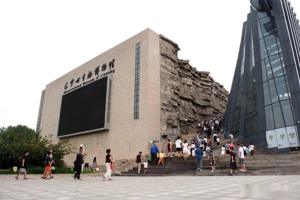 辽宁古生物博物馆游记图片