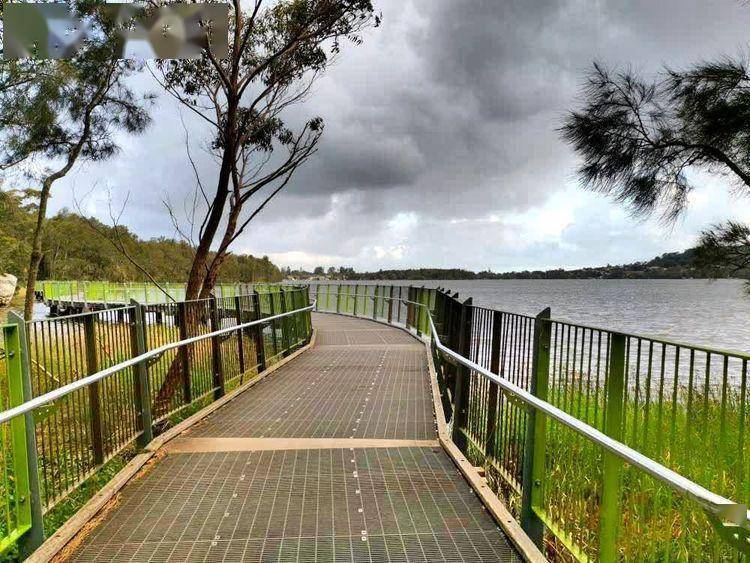 悉尼最美丽的林中小径之一,纳拉宾湖步道_娱乐_道路_栈桥