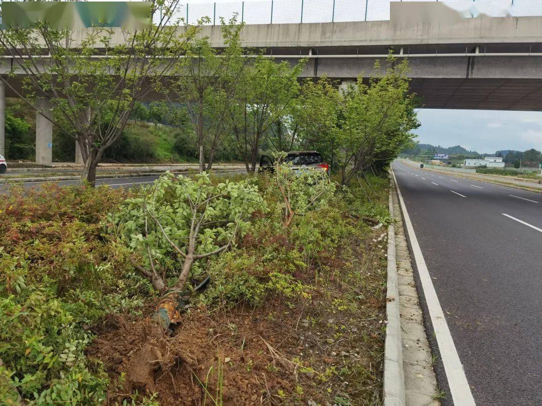 麻江县宣威镇佛山大道甲树村路段发生一起交通事故_车辆_行车_视频
