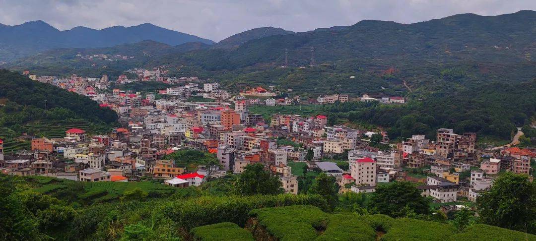 乡村步行道:大坪街道62奇峰门口62马峰山_水库_小道_路段