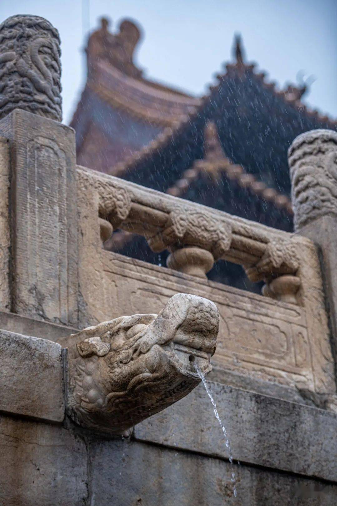 北京周末遇强降雨天气，故宫再现“千龙吐水”-百货之家