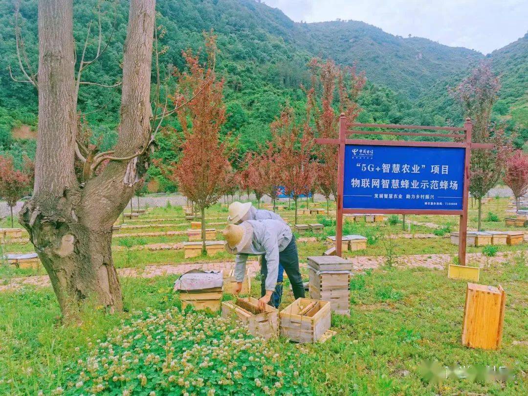 两当:打造"八有"山地立体农业 "生态资本"正成"富民资本"_发展_养殖_