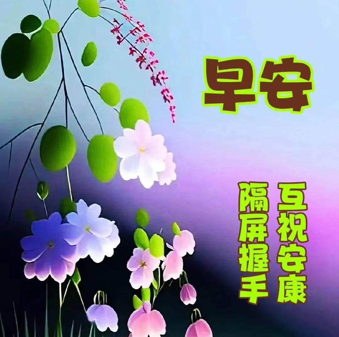 炎炎夏日,送上一份清凉,平安度夏,早安快乐!_问候_祝福_吉祥