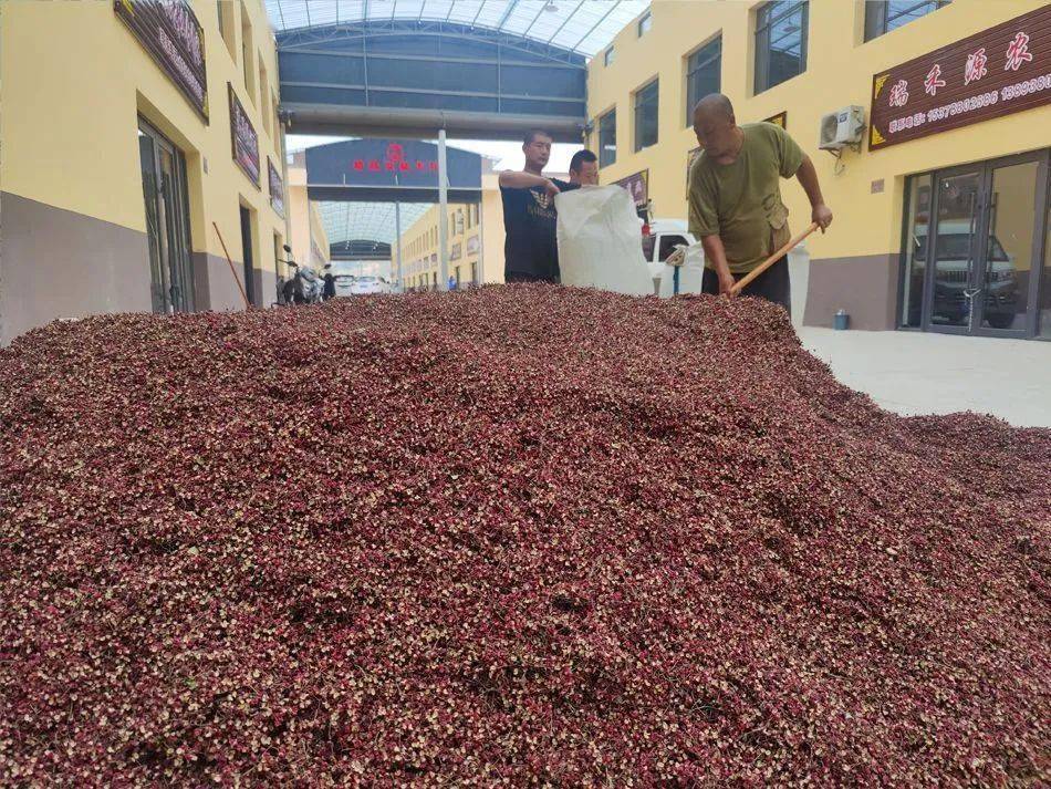 花椒批发市场 花椒批发市场