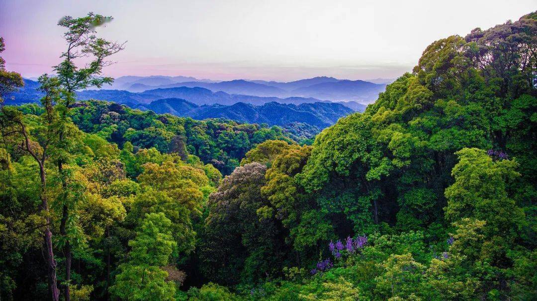 永安天宝岩自然保护区图片