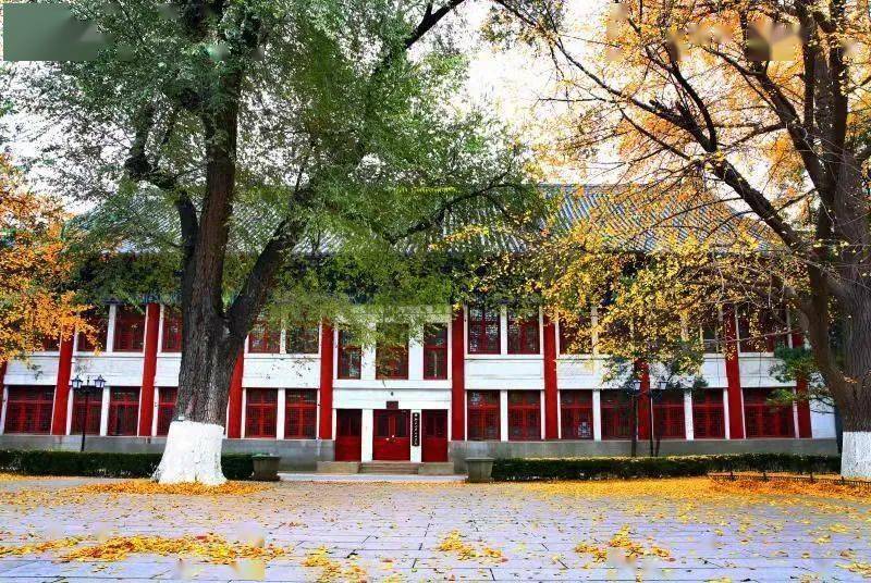 北大元培学院原院长许崇任:要允许为拔尖人才开辟特殊选拔通道,因材施