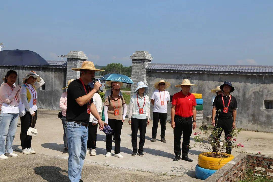 【代表主题活动】佛冈县迳头镇:人大代表积极行动 让迳头山更绿水更清