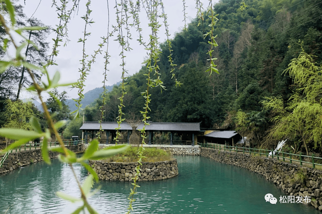 松阳4宗农村集体经营性建设用地挂牌成交_试点_地块_四都乡