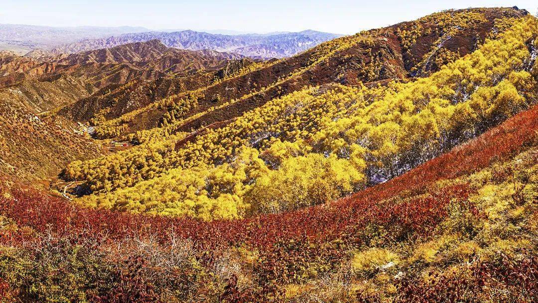 当"多巴胺" 的风吹到了固阳县马鞍山~_杨建清_刘佳乐_张颖强