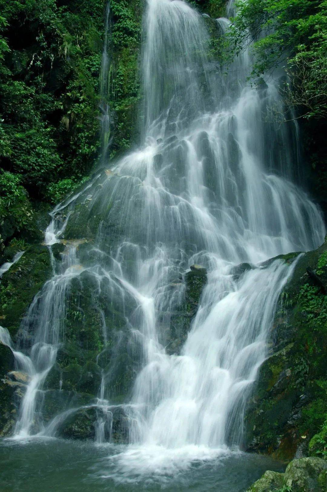 全球学子嘉游赣丨【清凉崇义"爽一夏"】崇义阳明山避暑超全游玩攻略