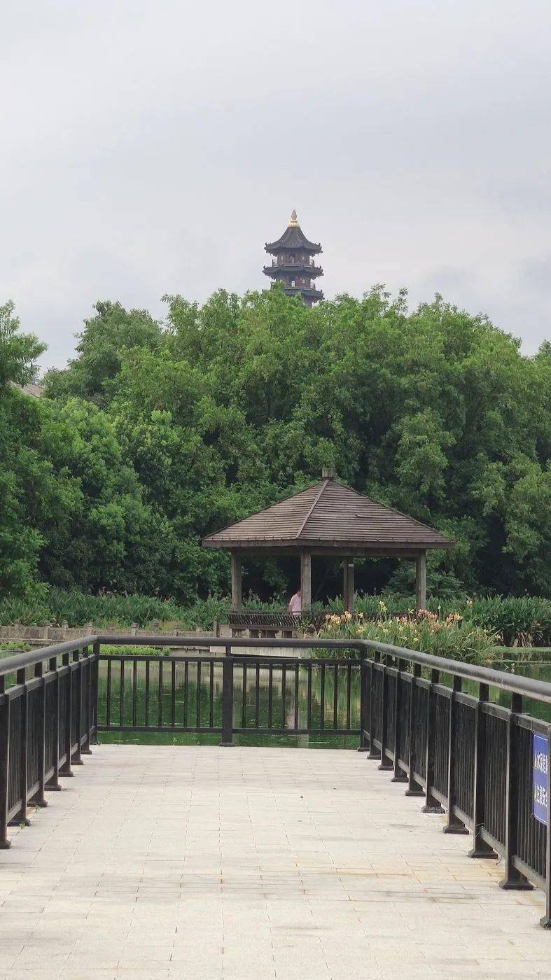 【图说·绍兴】大滩公园随拍_游泳_古越_摄影