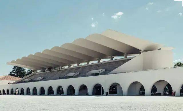 为什么电视剧里吃披萨那么优雅,我自己吃就像狗啃?_定理_曲率_蚂蚁