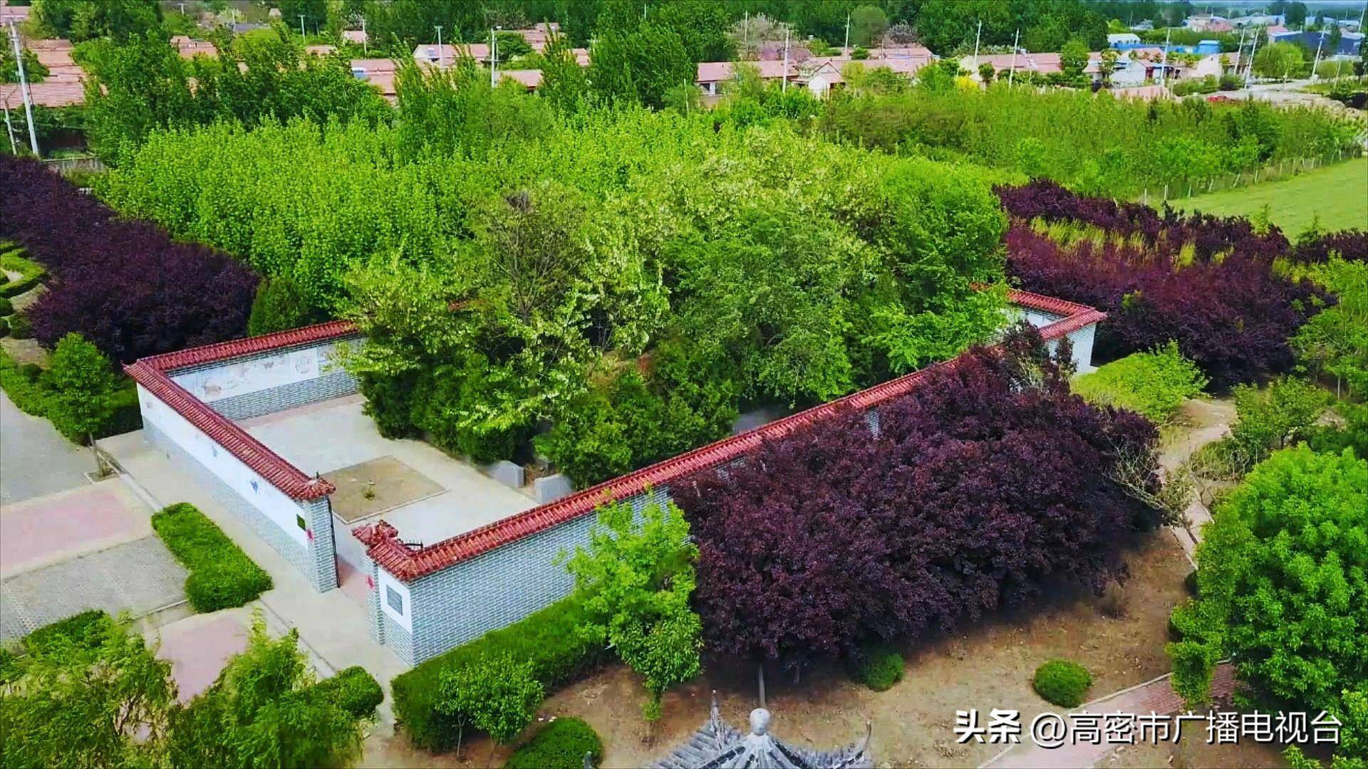 高密市井沟镇:从文化惠民迈向文化悦民 共享美好生活_活动_群众_组织