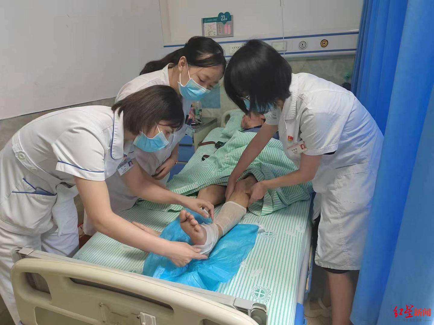 女子被蝮蛇咬伤多器官衰竭,连用两种血清死里逃生 医生提醒:6至8月当心“蛇出没”高发_李女士_李怡钢_毒蛇