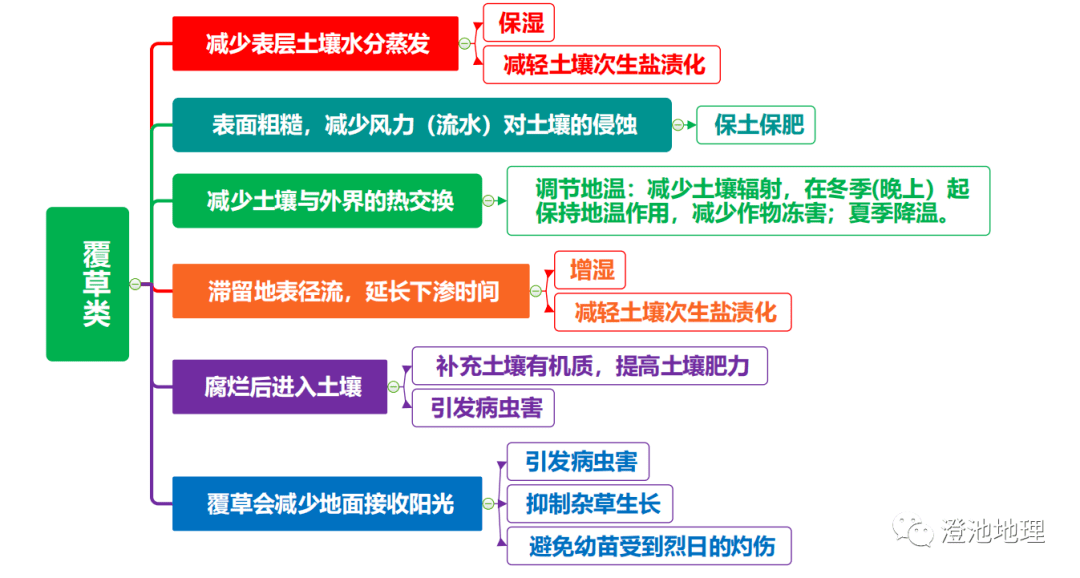 基地思维导图初中图片