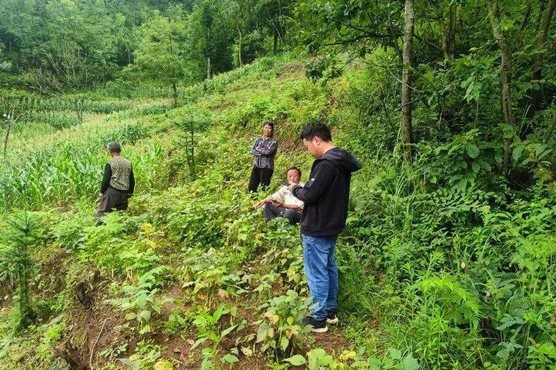 大方县绿塘乡人大:积极探索"党支部 代表联络阵地 n"工作机制_发展