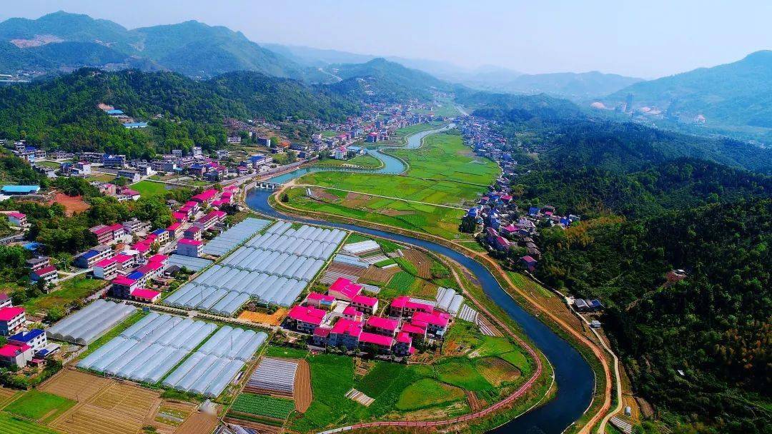 盛夏时节,在上栗县桐木镇洪东村葛家洲蔬菜基地,蔬菜大棚内一片片翠绿