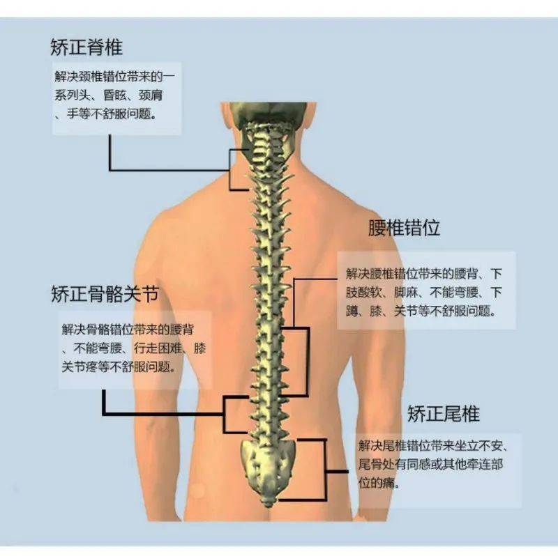 一根脊椎,竟然会引起100多种疾病!