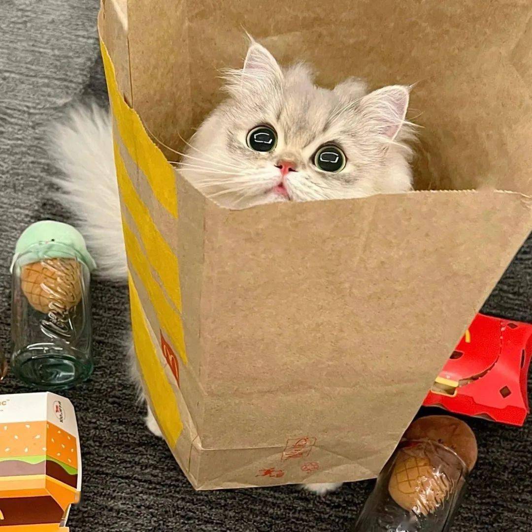 头像 | 超级nice的微信头像 先收藏一波