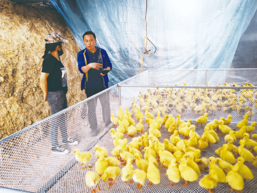 差异化孵化 组团式成长——我市创业孵化示范基地硕果累累_企业_长春_大学生