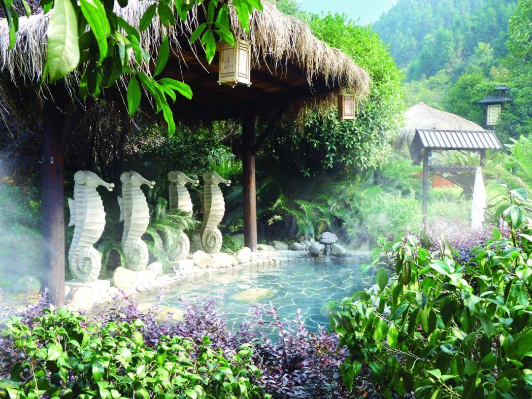 是时候来泡秋天的第一场温泉了!_明月山_旅游_生态