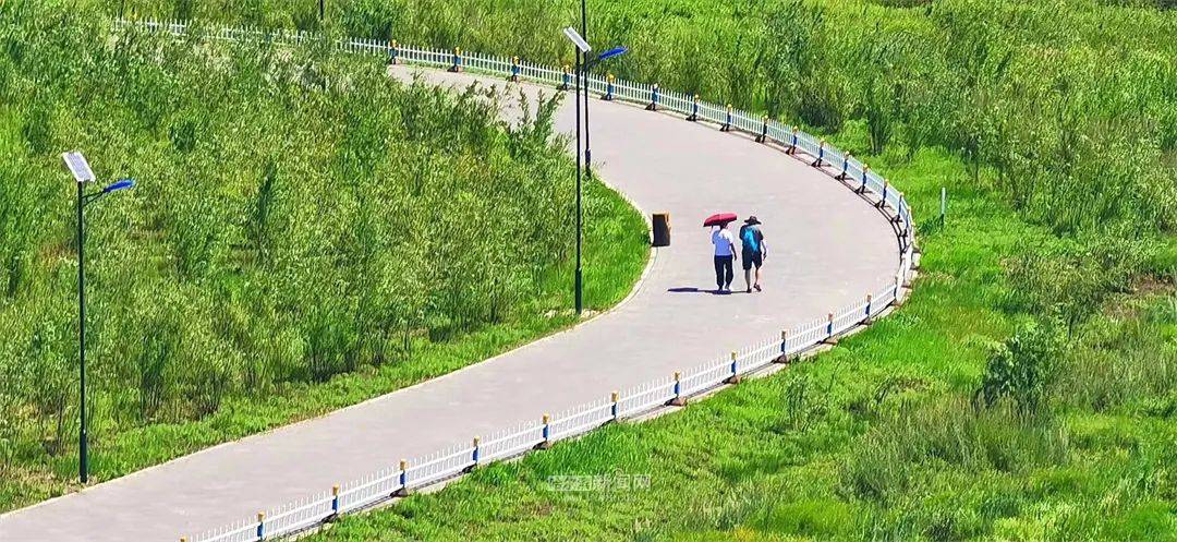 全市三天天气预报