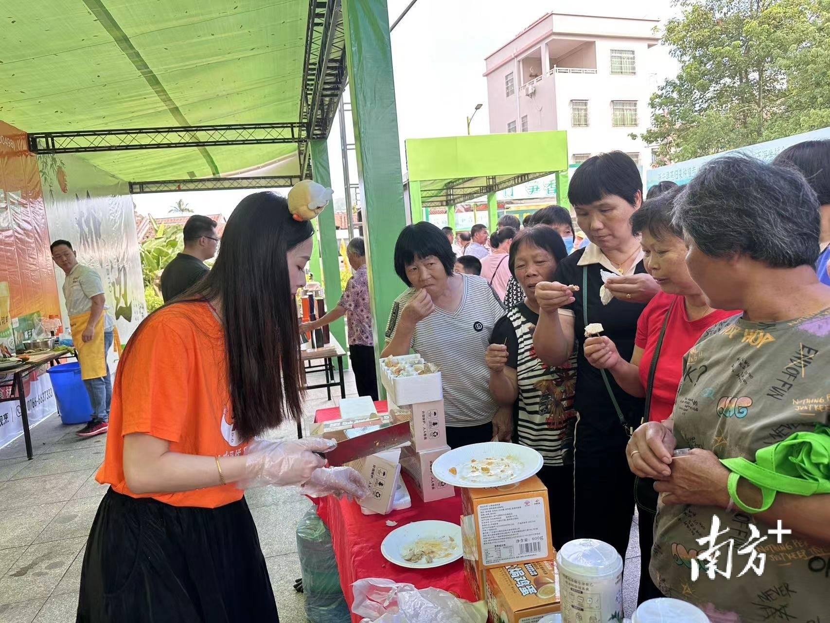 新兴勒竹笋王旅游基地图片