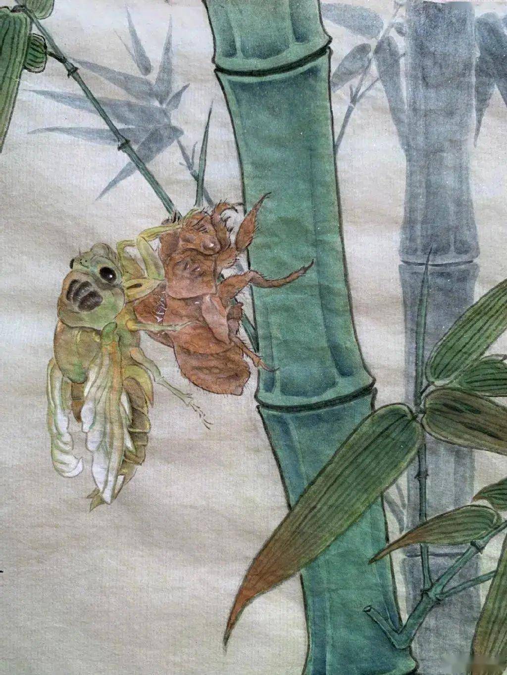 夏雨画的蝈蝈细长的触角,具有发达跳跃式,后脚,增添了几分灵气