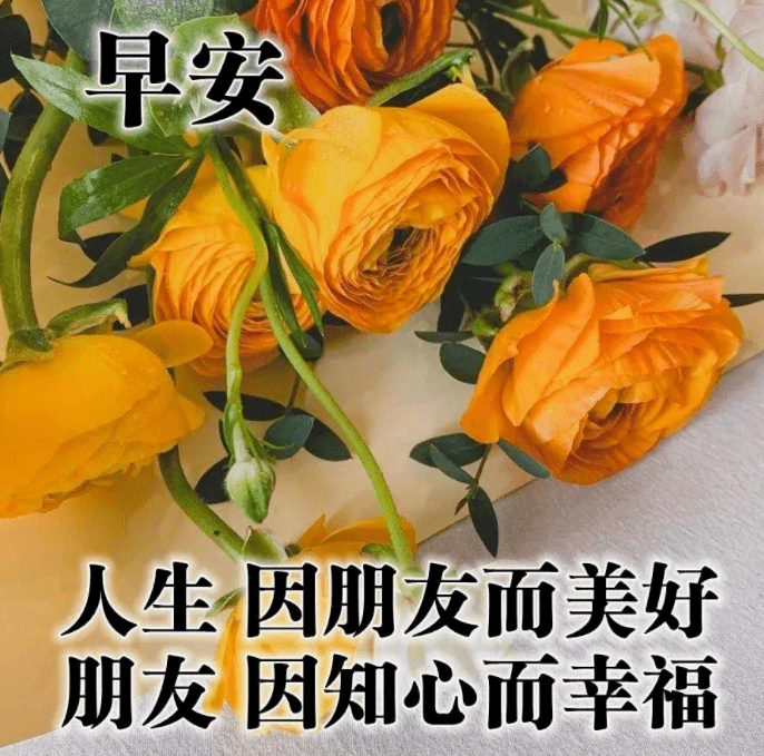 8月14日周一,最漂亮的早上好短语句子,早上好祝福早安短句子问候语