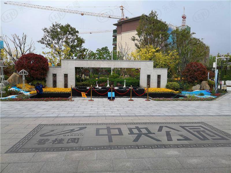 中牟县碧桂园中央公园 报价公布 约11500元/㎡_楼盘_配套_户型