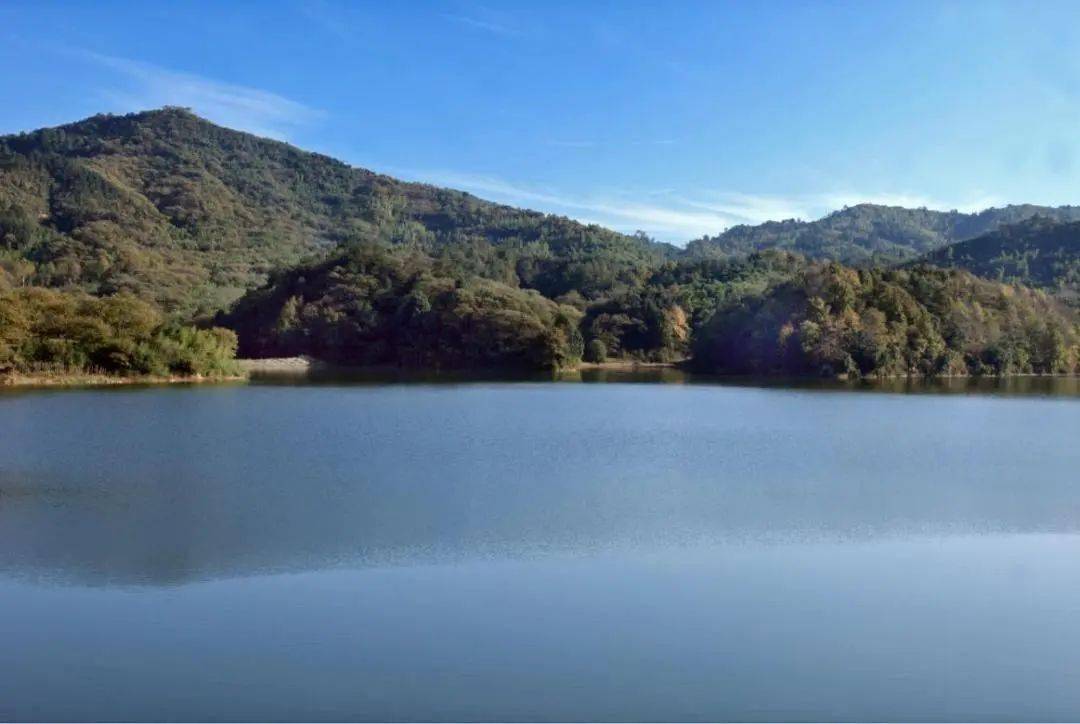 追逐浪漫气息欣赏色彩缤纷的花卉五色谷繁花似锦,花卉娇艳欲滴.