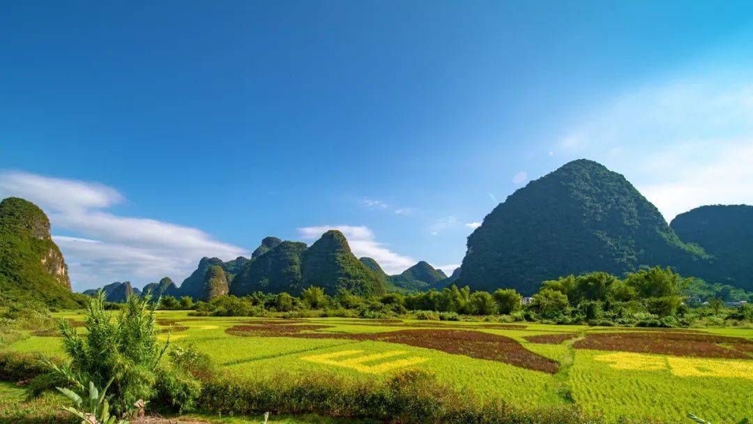 暑假游龙脊梯田| 欢迎走进油画世界!_香草_桂林_阳朔