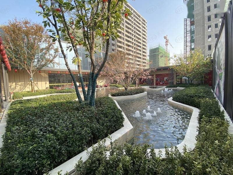 曹县绿城·桂语铂悦 报价公布 约4600元/㎡_楼盘_配套_均价